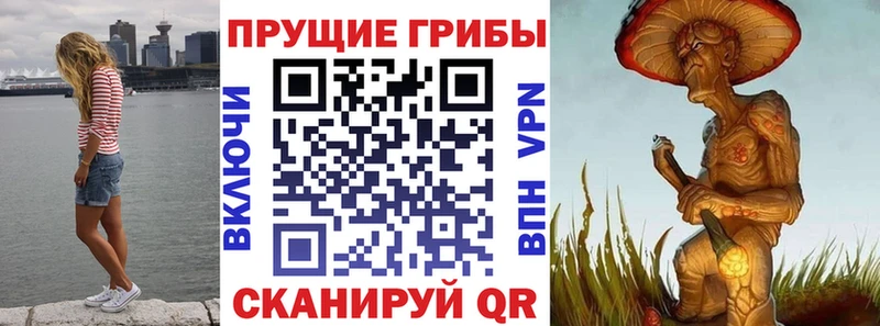 Галлюциногенные грибы прущие грибы  Удомля 