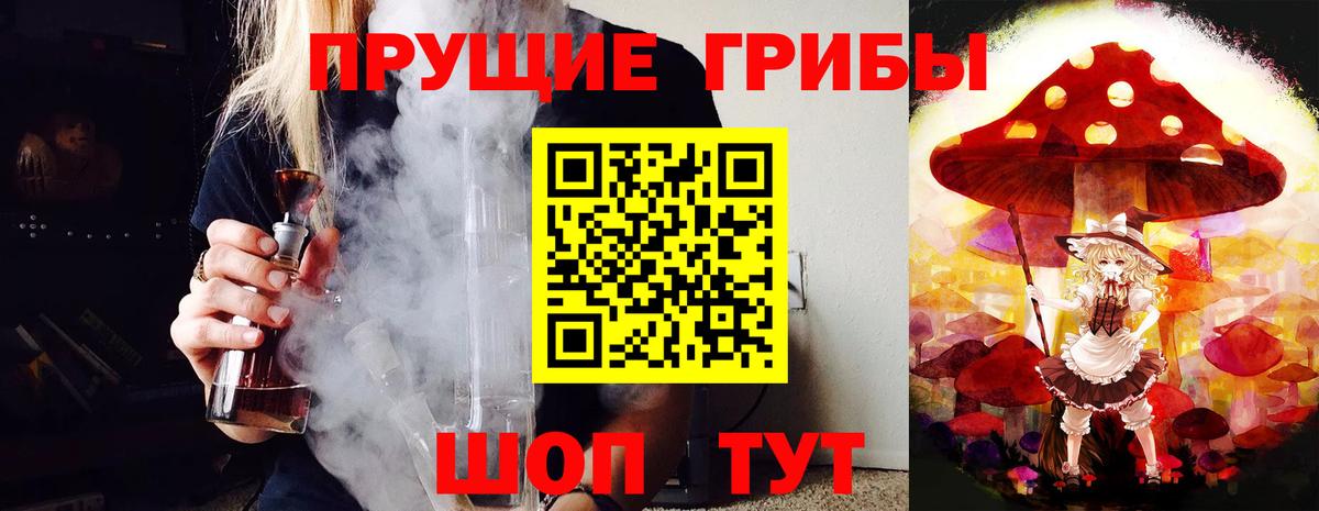 Псилоцибиновые грибы MAGIC MUSHROOMS Удомля