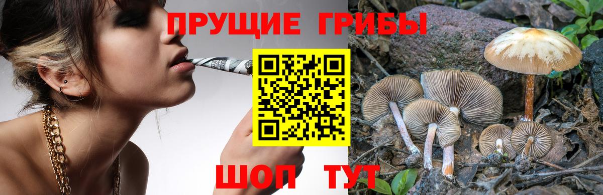 Удомля  Галлюциногенные грибы MAGIC MUSHROOMS  Галлюциногенные грибы ЛСД  Вход с VPN 
