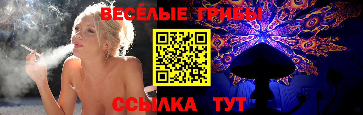 Галлюциногенные грибы мицелий  Удомля 